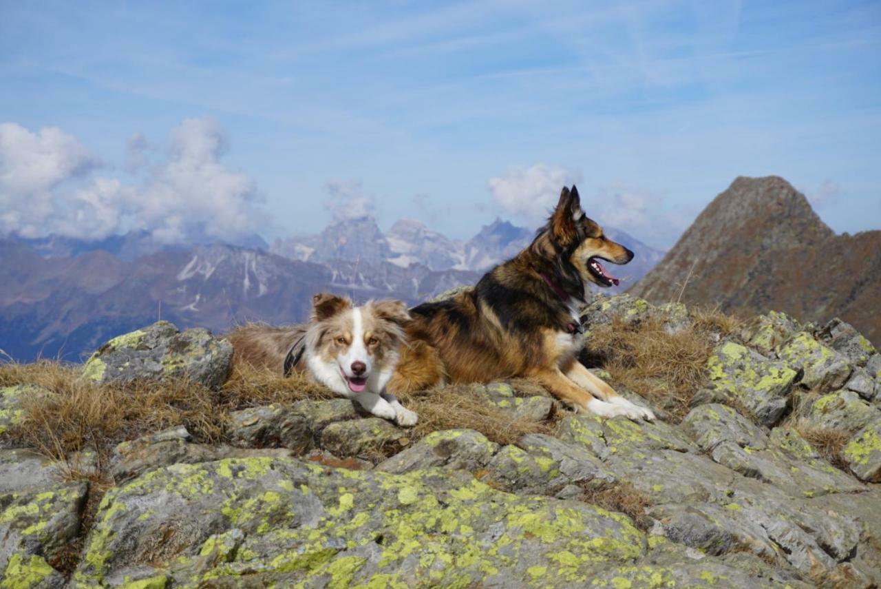 Historic Guesthouse Bircher B&B Apartments Near Sterzing Campo di Trens Exteriér fotografie